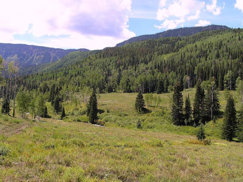 East fork Marvine Creek