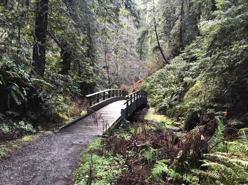 Several small bridges enhance the experience.