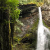 Marymere Falls from the main viewpoint.