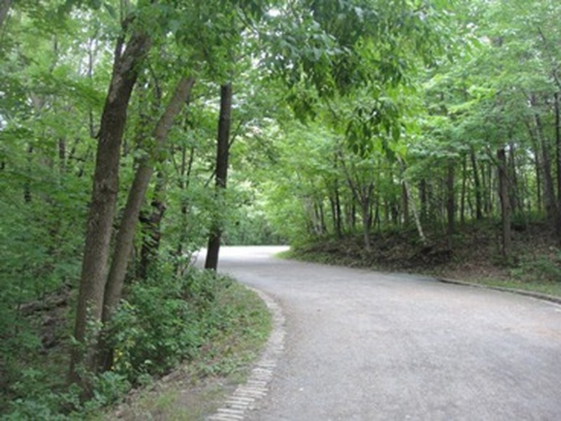 View from the trail. ***Vue du sentier