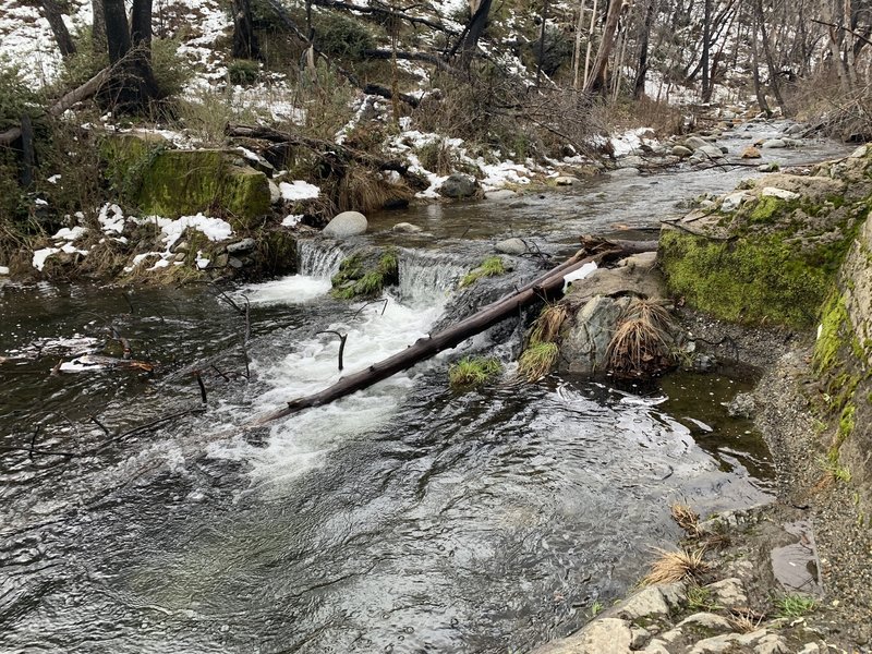 Crystal Creek at the end of the trail.