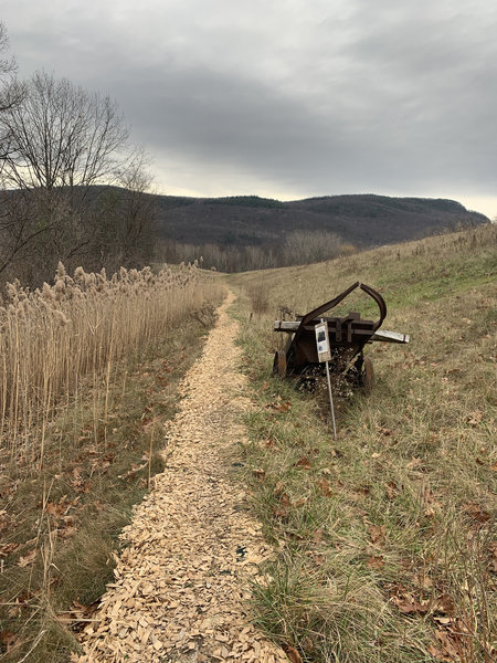 Old Dump Trail with historical information site.