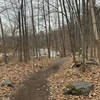 Coffin Factory Loop along New Haven River.