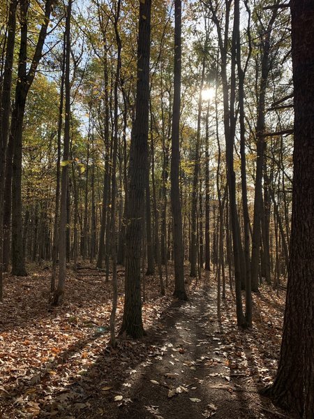 Business Park Loop - perfect for running!