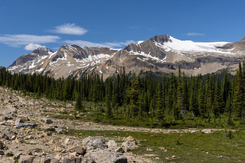 Looking north from the Iceline Trail at the line of glaciated peaks across the valley.