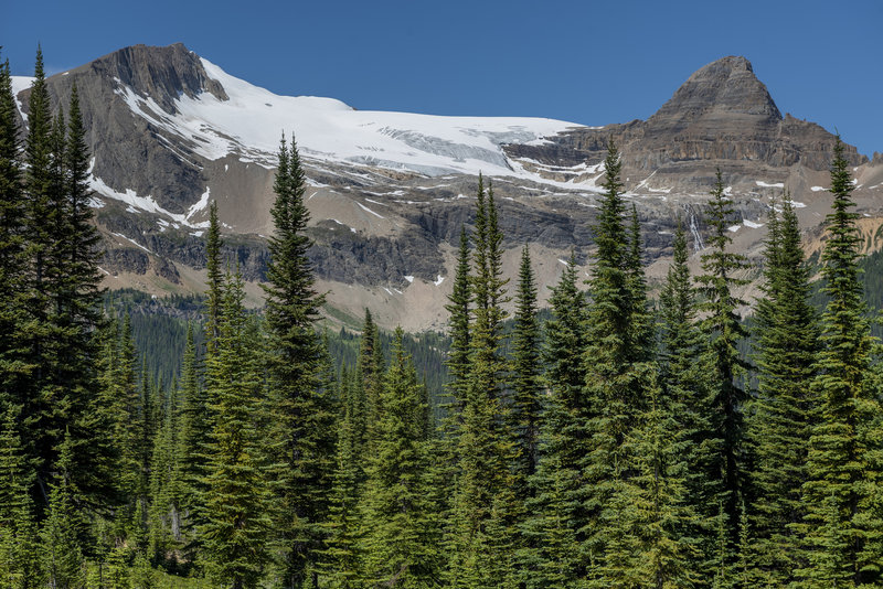 Glacier capped peaks across the valley from the Iceline Trail.