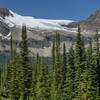 Glacier capped peaks across the valley from the Iceline Trail.