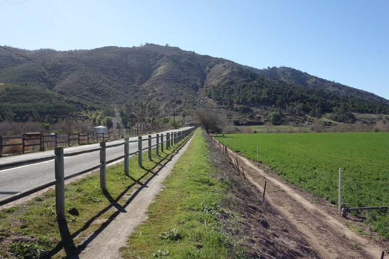 Raptor Ridge trail paralleling Bandy Canyon Road.