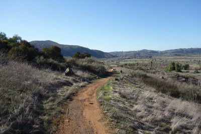 Raptor Ridge trail near where it breaks away from Bandy Canyon Road.