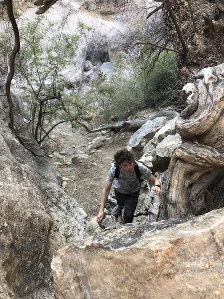 Climbing to the top of the falls.