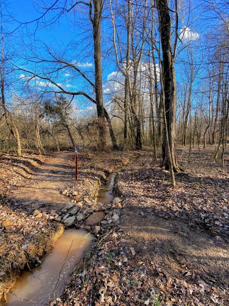 Durable stone creek crossing.