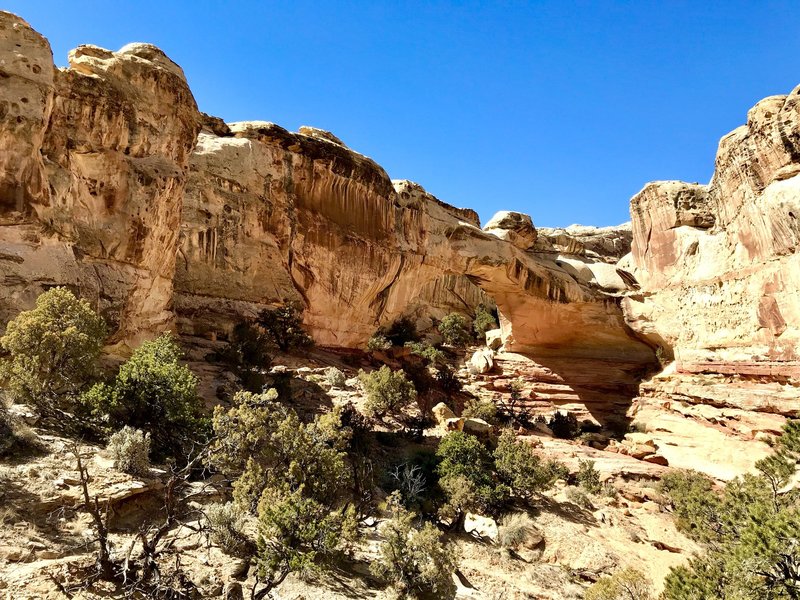 Hickman Land bridge as seen near the bifurcation in the trail.