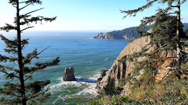 Forested cliffs stretch into the distance with a blue oceans crashing against them below.