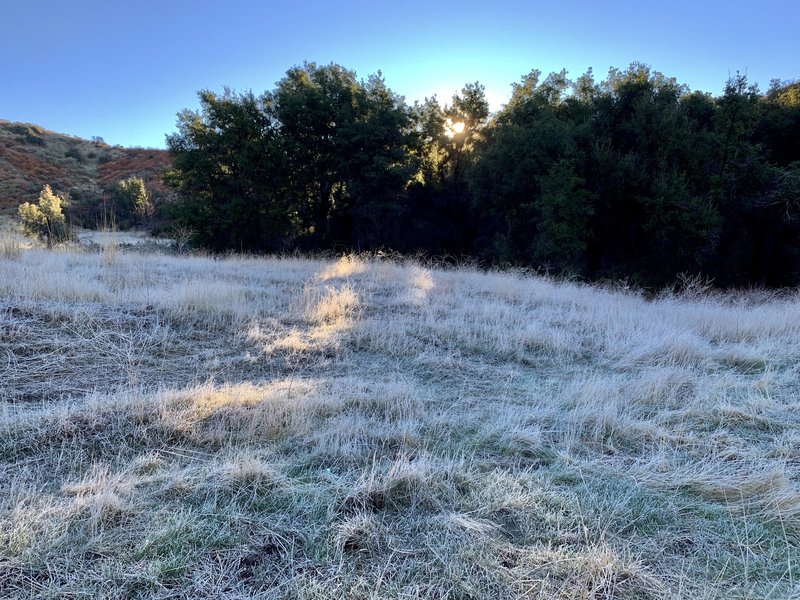 Meadow at morning sunrise one hundred feet from the spring.