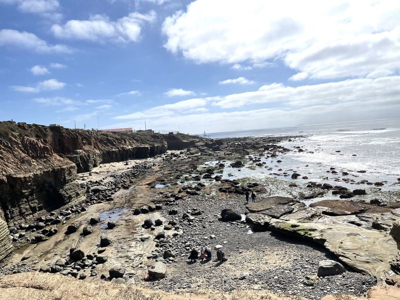 Tide pools - 1 hour before peak low tide.