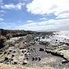 Tide pools - 1 hour before peak low tide.