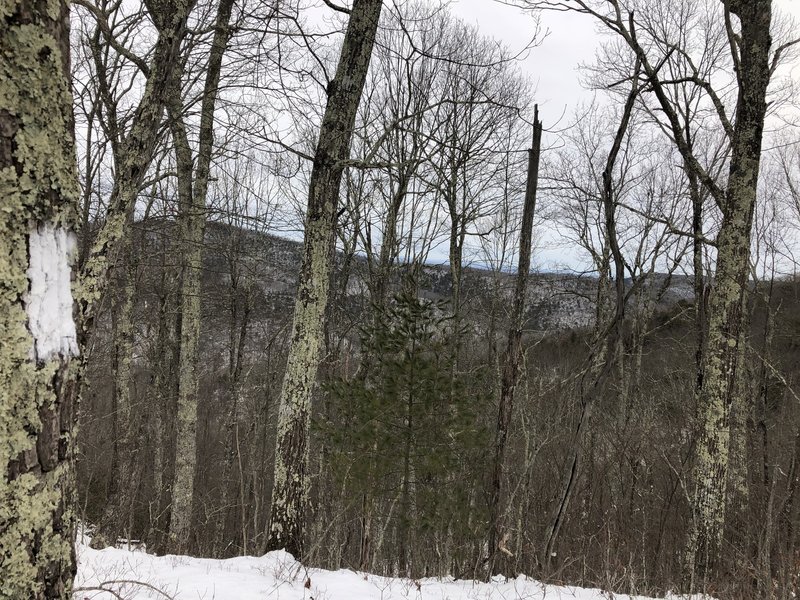 Following the white blazes on the Boundary Trail.