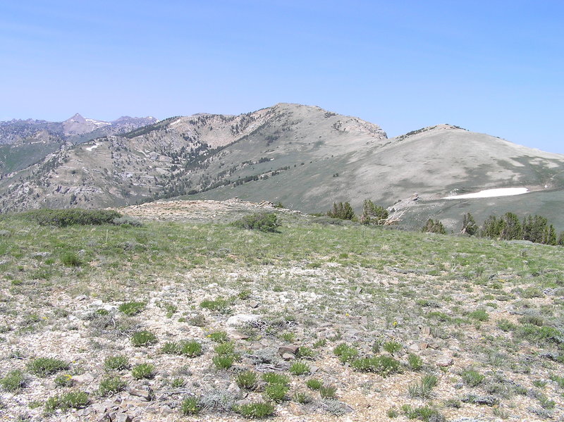 Looking north on Ruby Crest trail just west of Indian Graveyard Basin.