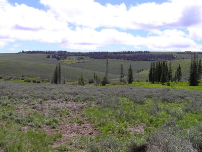 Heading south from Slide Creek trailhead.
