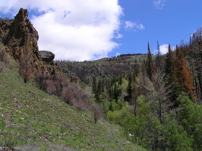 Looking back up Slide Creek Canyon