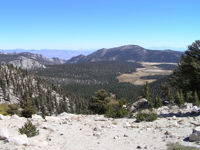 Horseshoe Meadow from Cottonwood Pass.