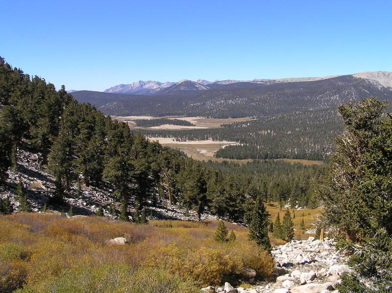 Big Whitney Meadow from Cottonwood Pass.