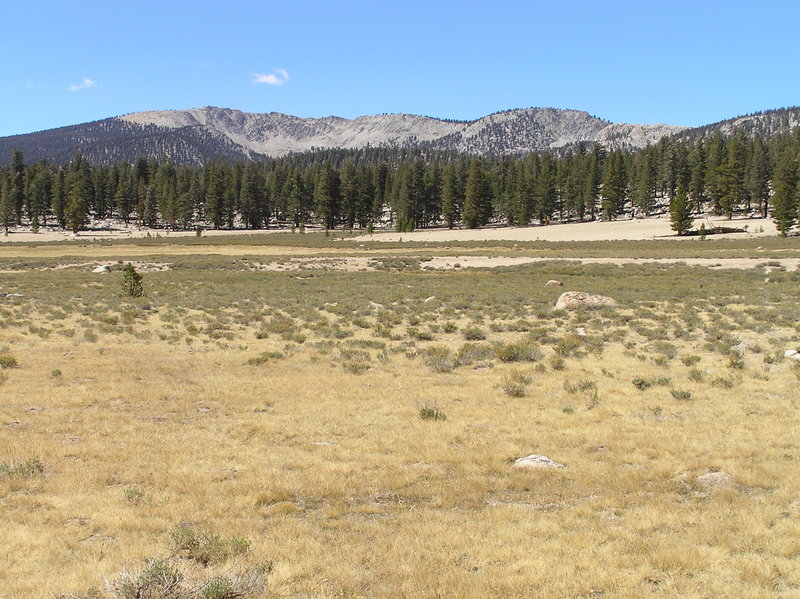 Rocky Basin Lakes basin from Big Whitney Meadow.