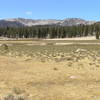 Rocky Basin Lakes basin from Big Whitney Meadow.