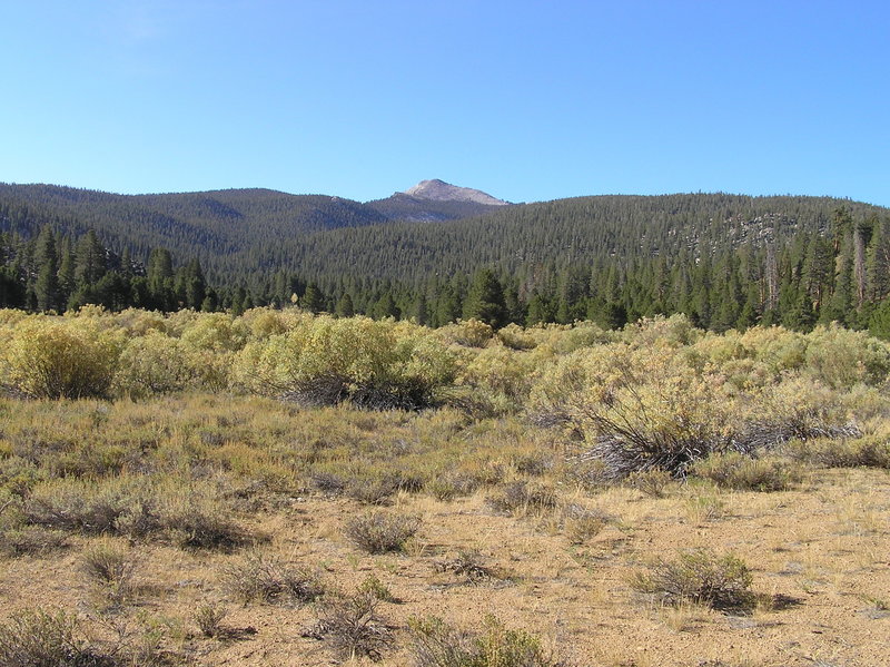 Kern Peak from Ramshaw Meadow.