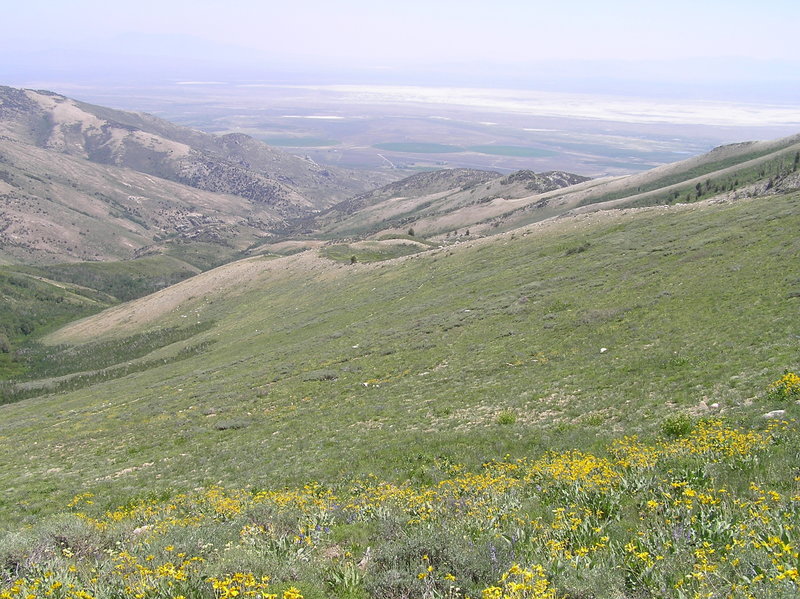 Ruby Valley from Overland Lake Trail.