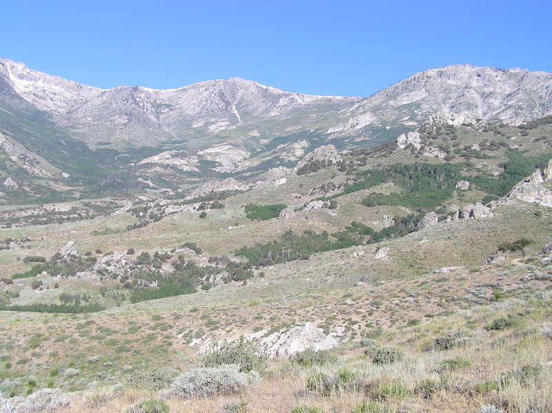 Lower section of Overland Lake Trail.