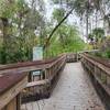 Boardwalk over Hickey's Creek. Go left to stay on Hickey's Creek Trail, or straight for the North Marsh Trail.