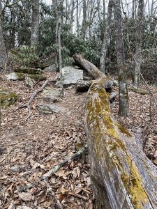 Hard to capture the vert on this trail.