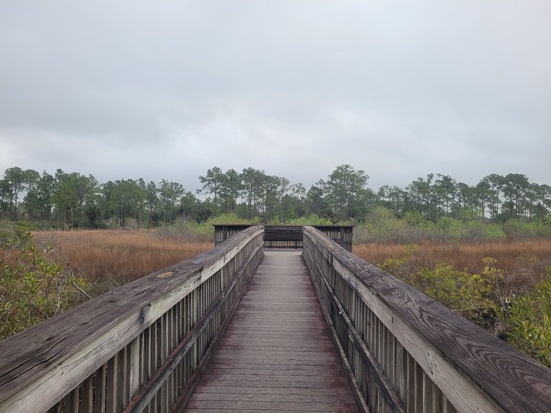 Overlook off the North Marsh Trail.