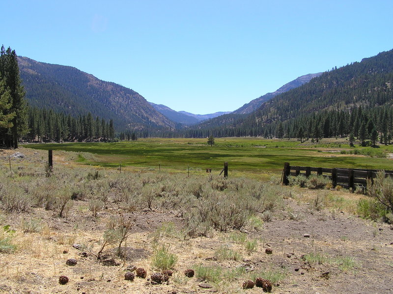 Wolf Creek Meadows (near trailhead).