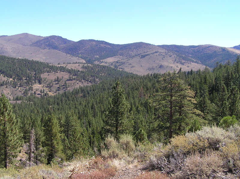 View east from trail.