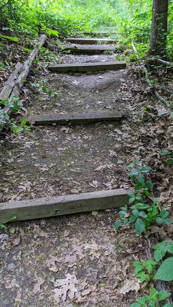 Railroad tie stairs on the way into the trail.