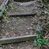 Railroad tie stairs on the way into the trail.