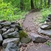 Classic stone wall on the White Trail.