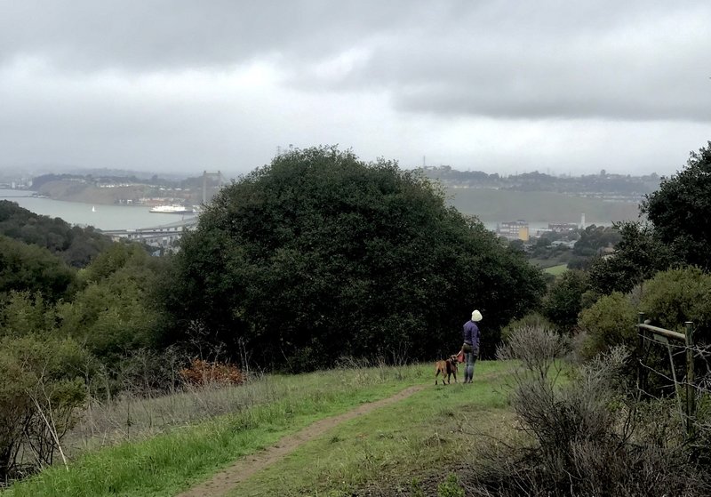 She is walking her dog on a slippery trail on a drizzly day.