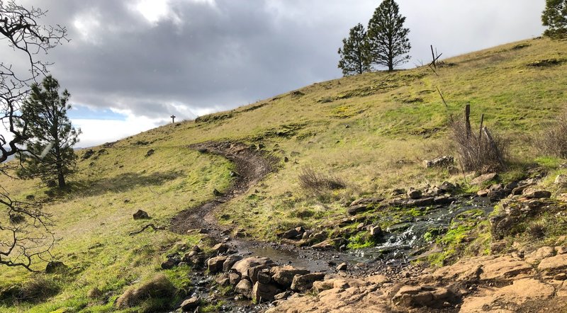 The Little Maui trail winding through the hills.