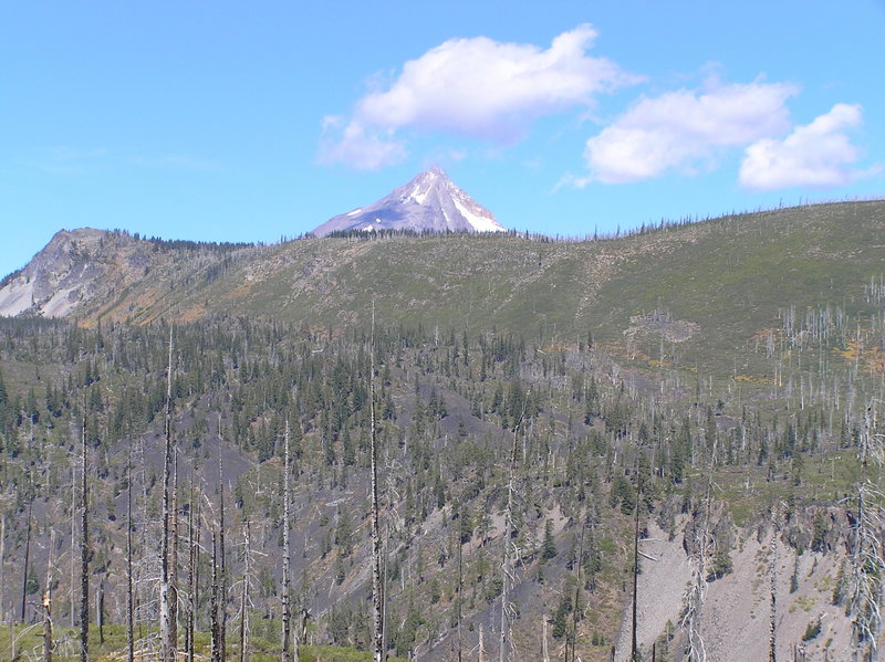 Mt. Jefferson as viewed from Cabot Lake Trail.