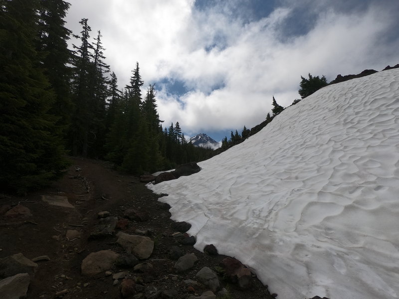 North Sister from trail.