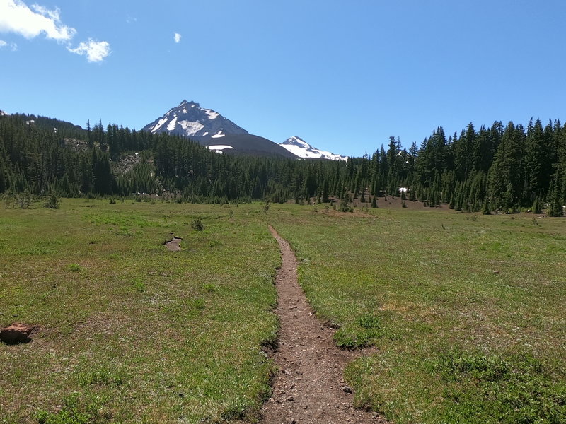 North and Middle Sister from Scott Meadow.