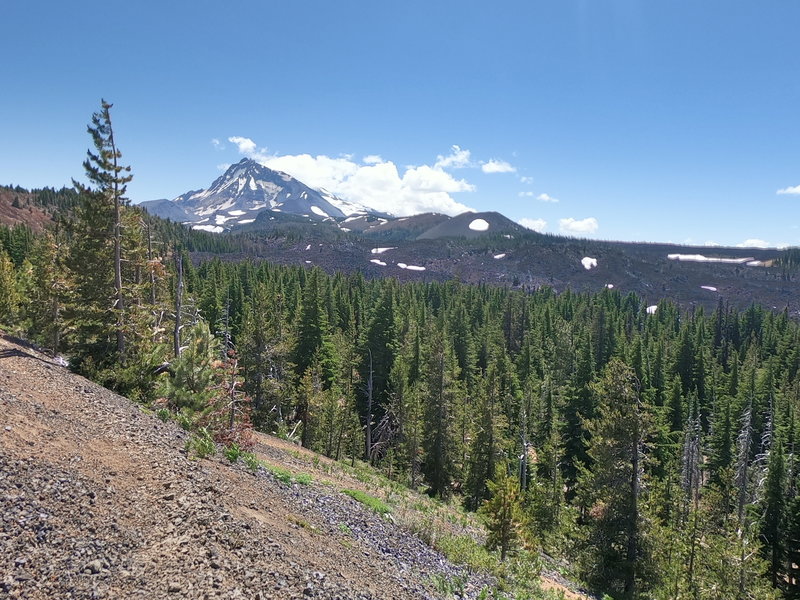 North Sister and 4-in-1 Cone from trail