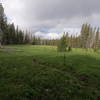 Meadow near beginning of Scott Trail.