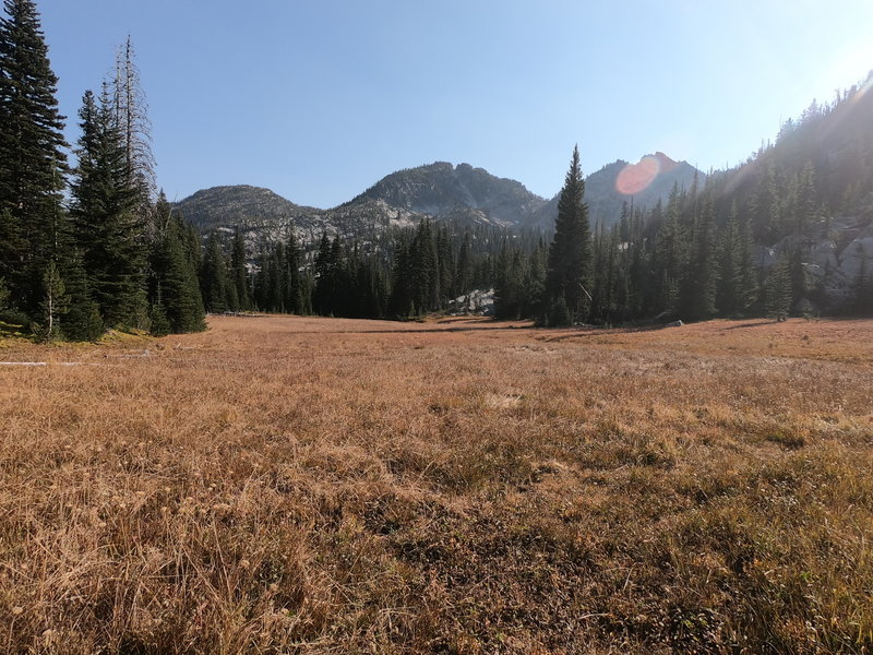 Meadow near end of Hoffer Lakes trail (provides connection to the Lakes Lookout Trail via dirt road).