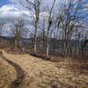 Trail on Ridgeline from Big Schloss