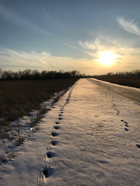 Southwest sun on the fresh snow.