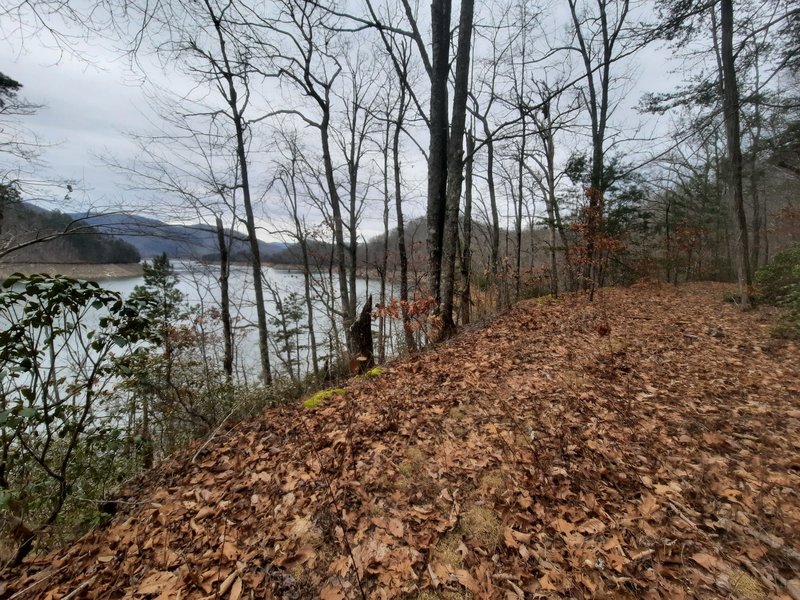 The trail heads westward beside a low Fontana Lake on a January day.